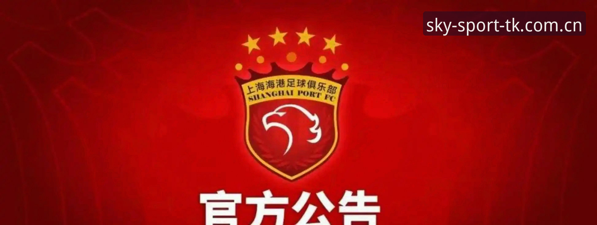 天空体育评价 中国足协第三批禁足名单详解