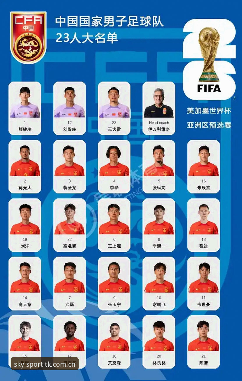 中国足协第三批禁足名单详解